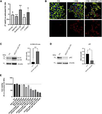 Long non-coding RNA H19 enhances the pro-apoptotic activity of ITF2357 (a histone deacetylase inhibitor) in colorectal cancer cells